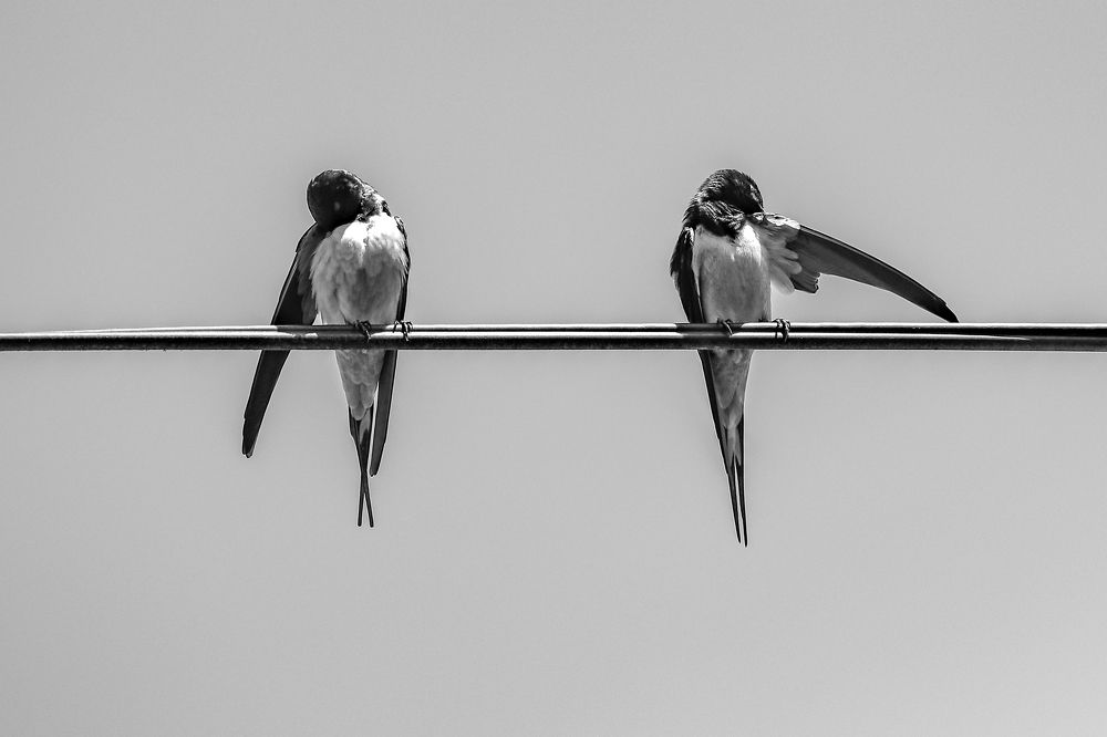 Photograph by Giga Kokoladze