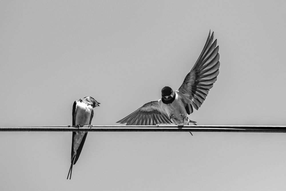 Photograph by Giga Kokoladze