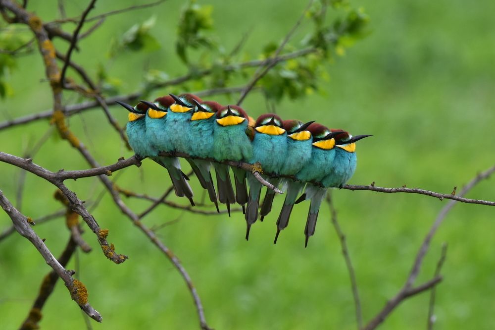 Photograph by Александр Чегодаев