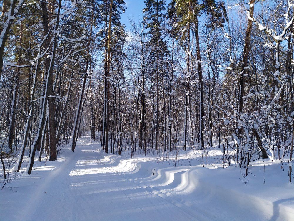 Photograph by Шорин Александр