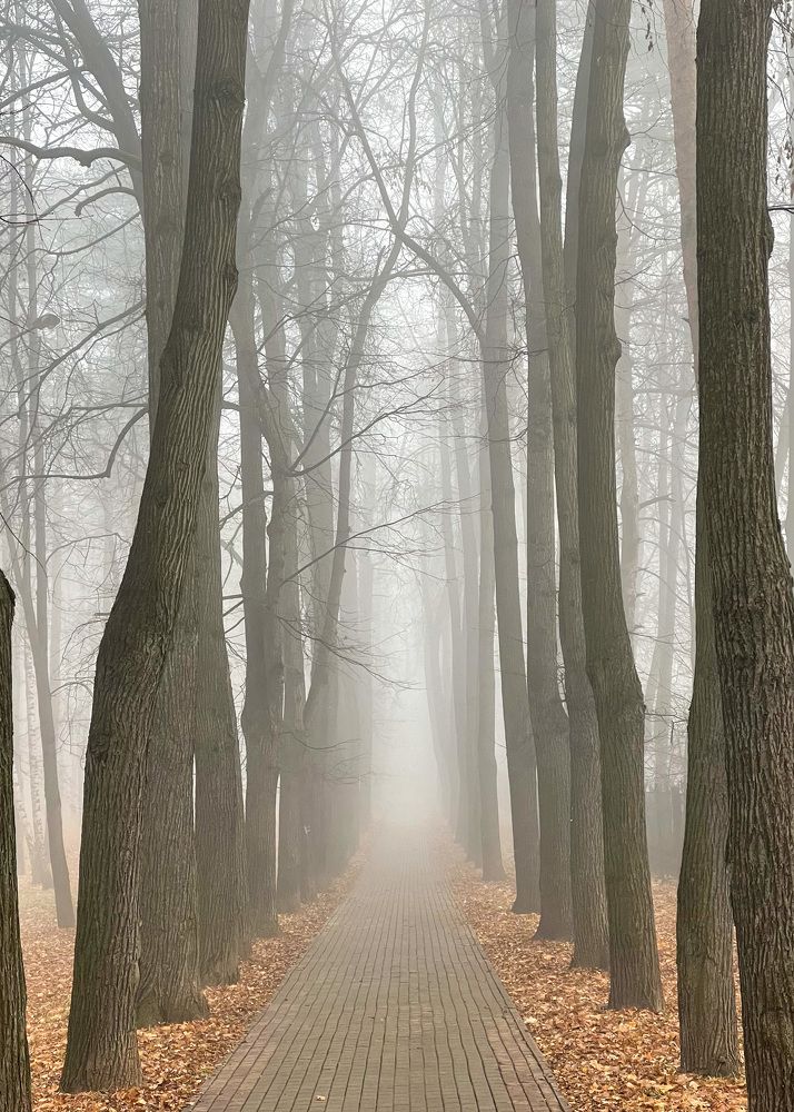 Photograph by Римма Рамазанова