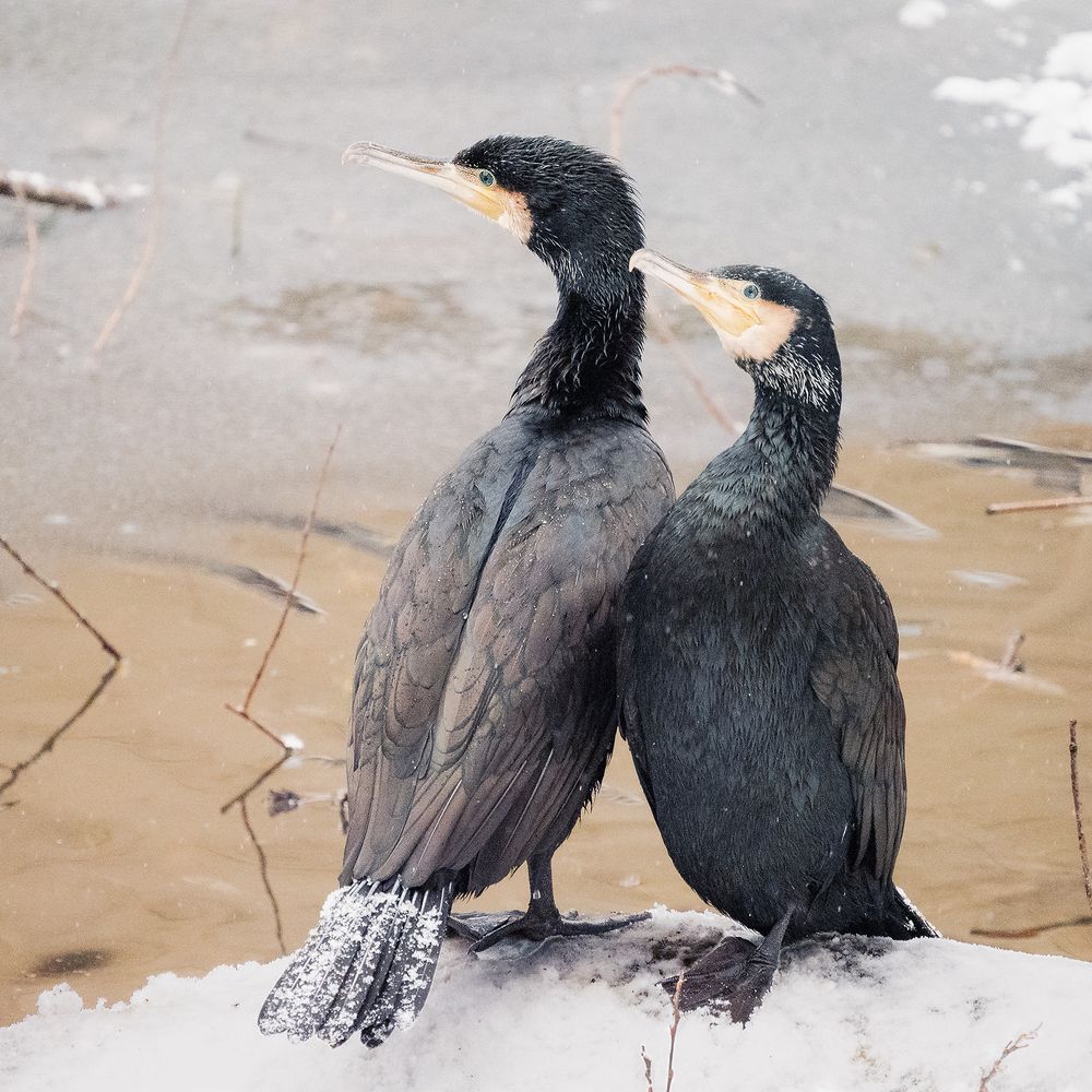 Photograph by Денис Иванов