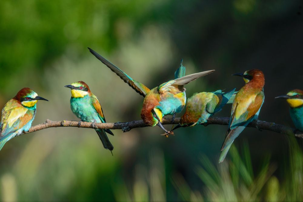 Photograph by Елена Быкова