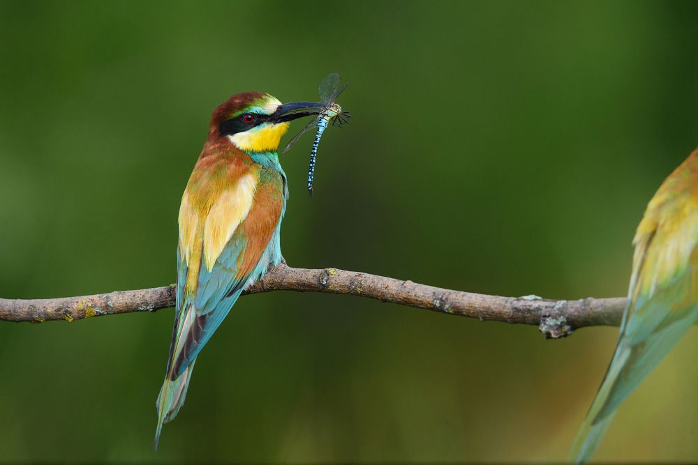 Photograph by Елена Быкова