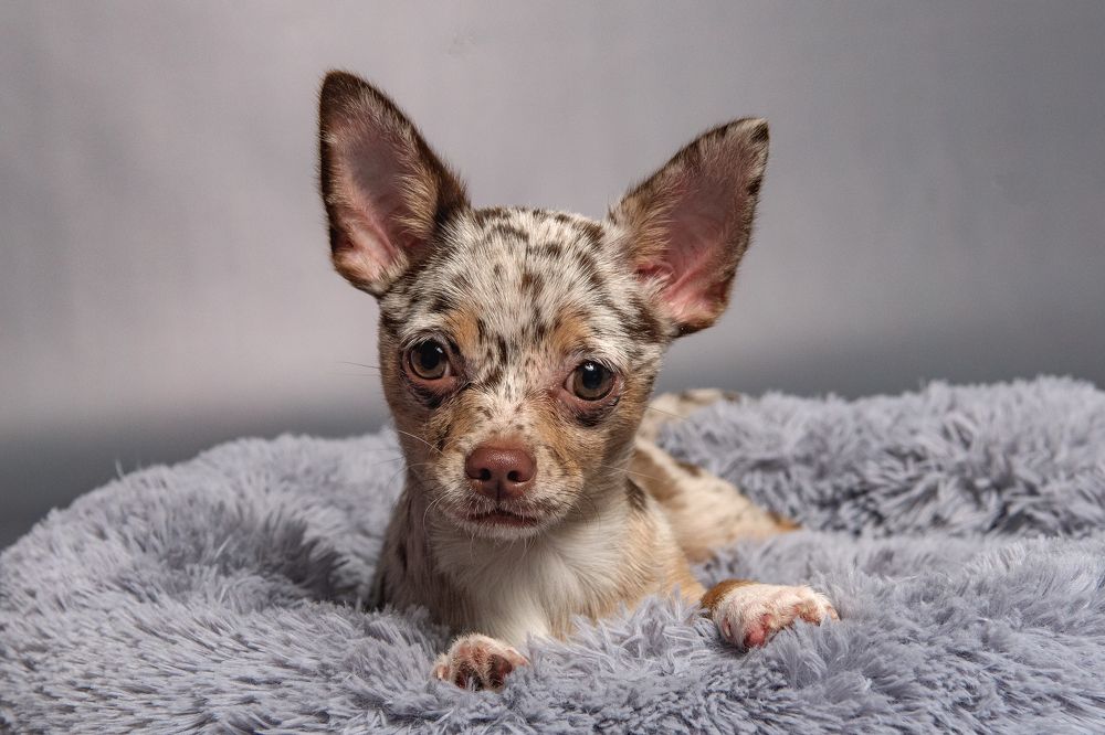 Photograph by Демьян Лопатов