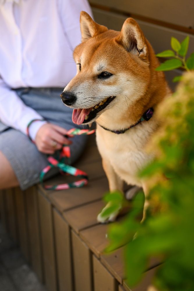 Photograph by Юлия Дударева