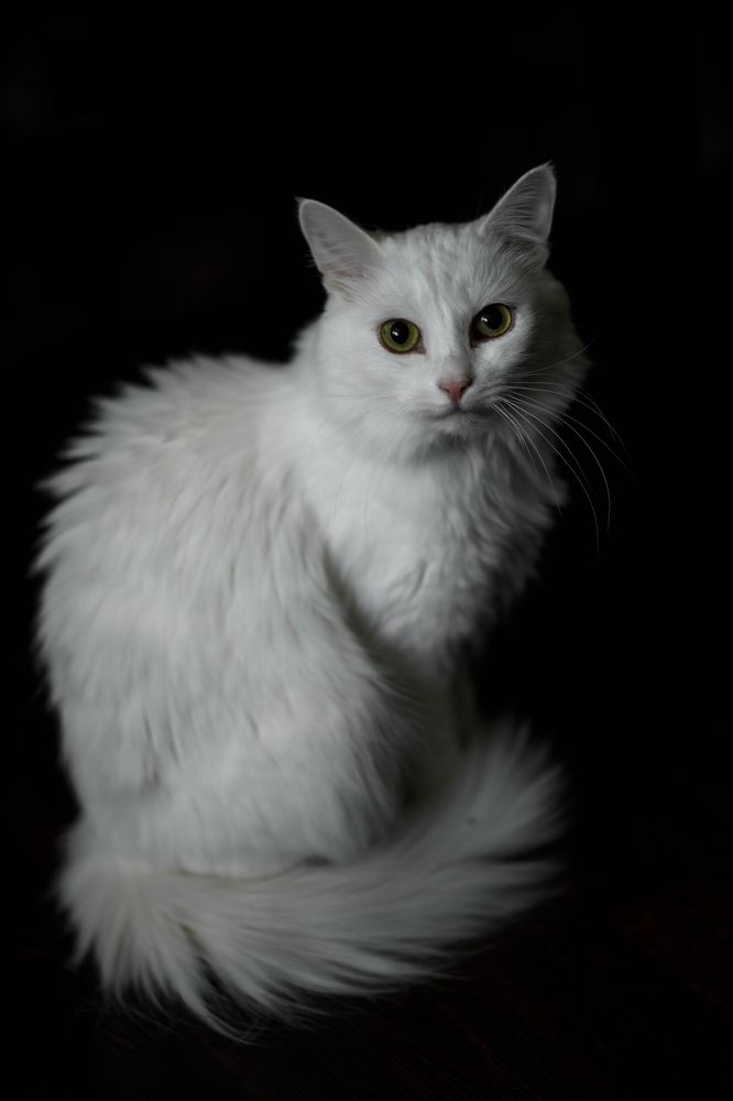 Photograph by Vera Vinogradova