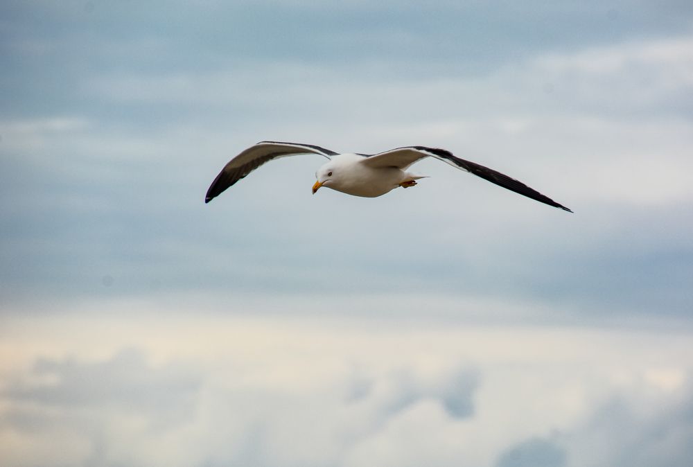 Photograph by Tarek El Magrabe