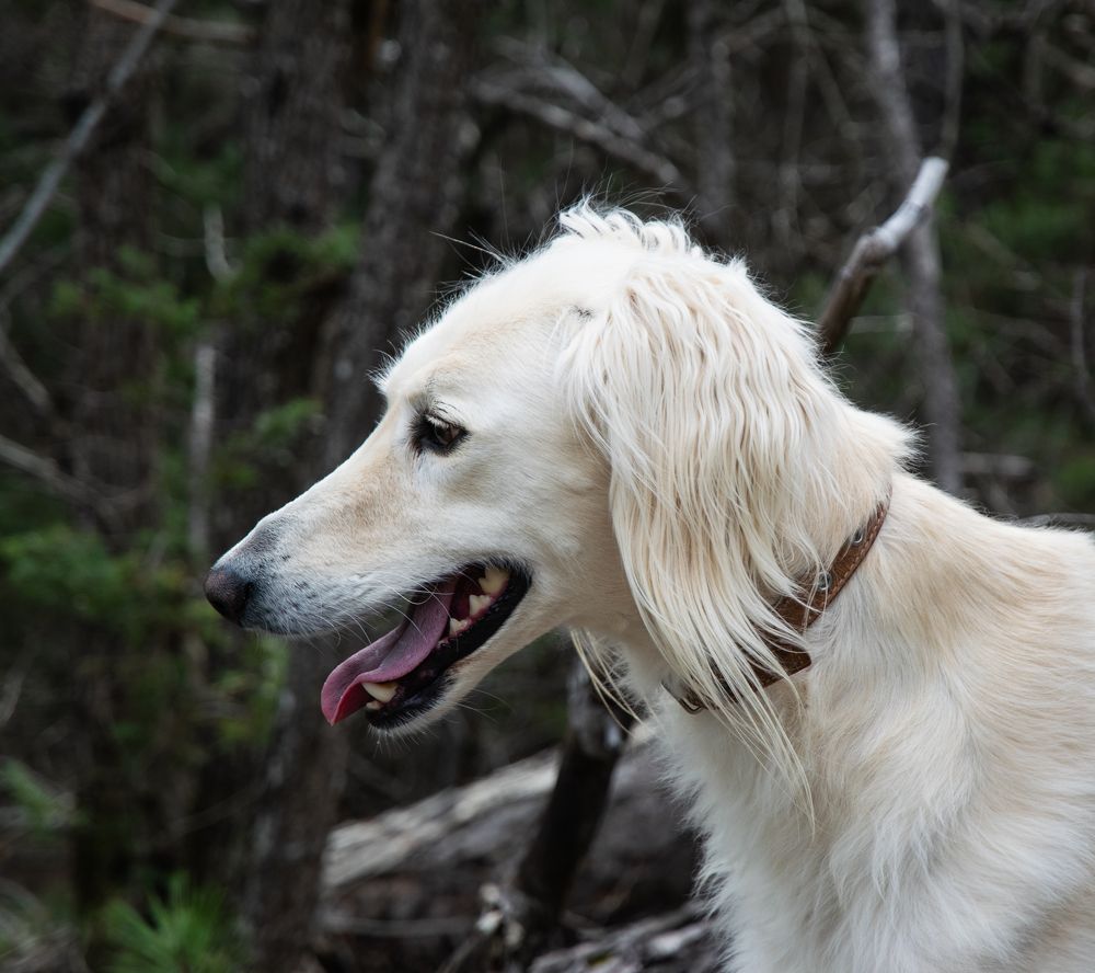 Photograph by Алексей Мордвишин