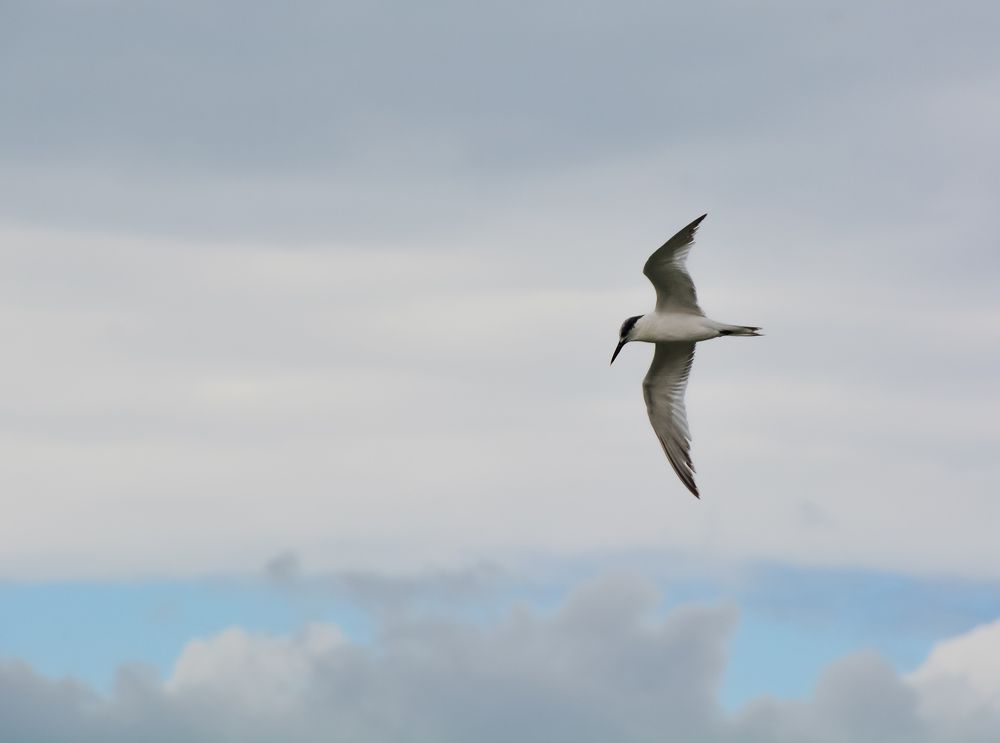 Photograph by Tarek El Magrabe