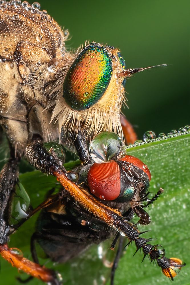 Photograph by Protik Chowdhury