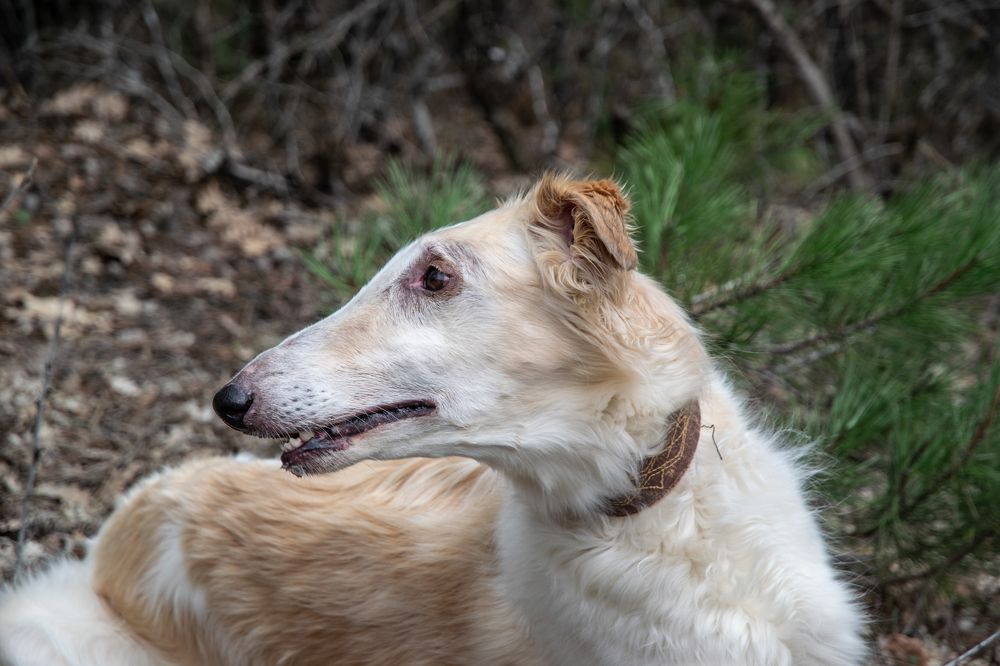 Photograph by Алексей Мордвишин