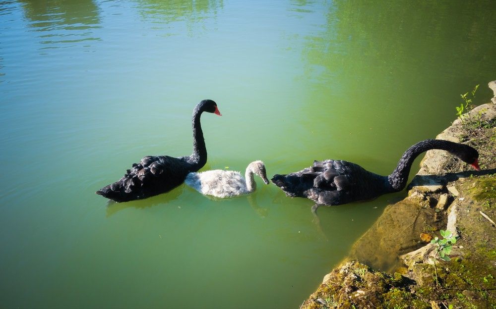 Фотография автора Валентина Рихмаер