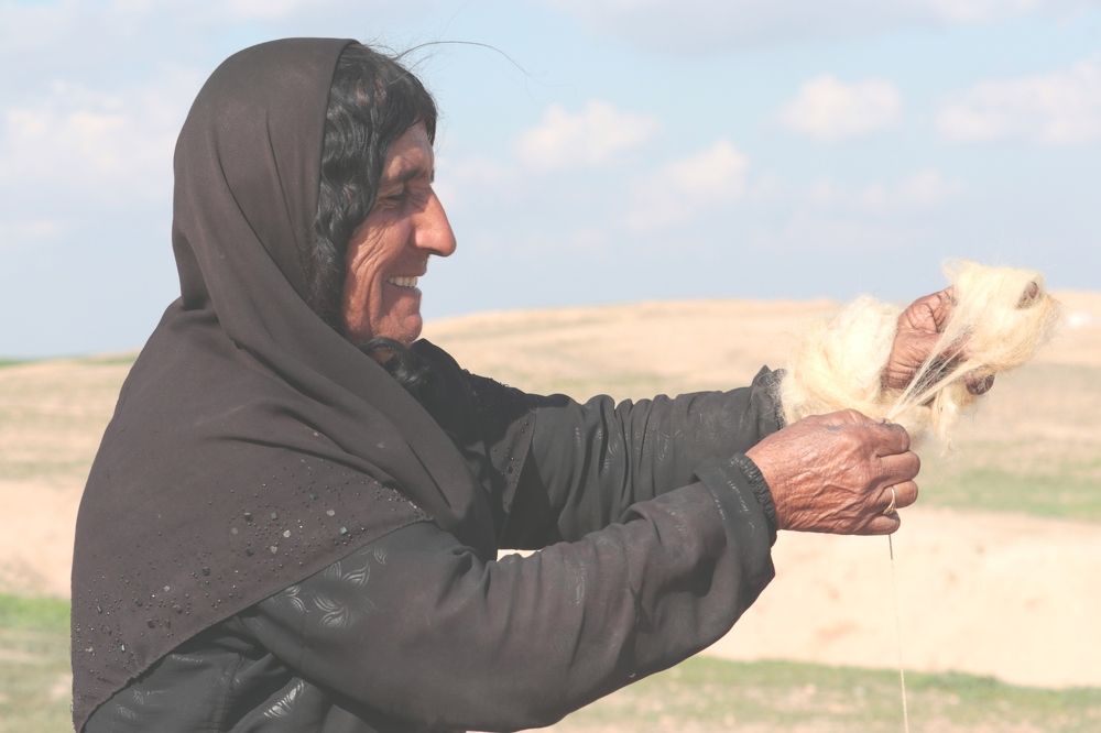 Фотография автора golnaz arami