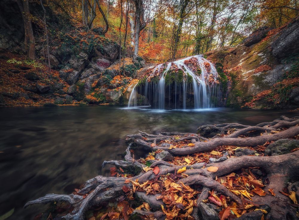 Photograph by Александр Хорошилов