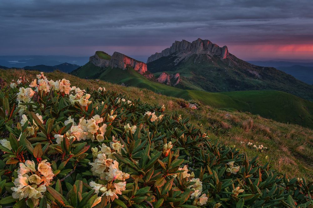 Photograph by Александр Хорошилов