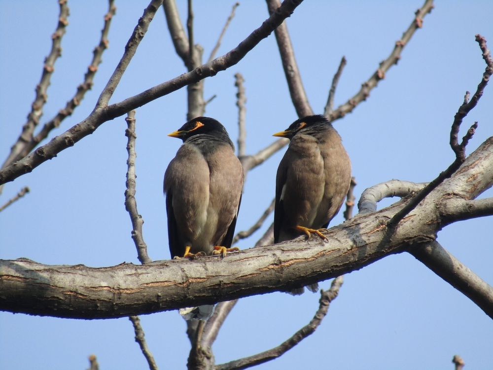Photograph by Saurav Gupta