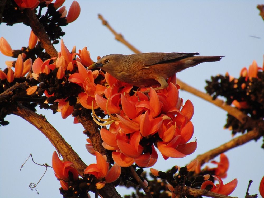 Photograph by Saurav Gupta