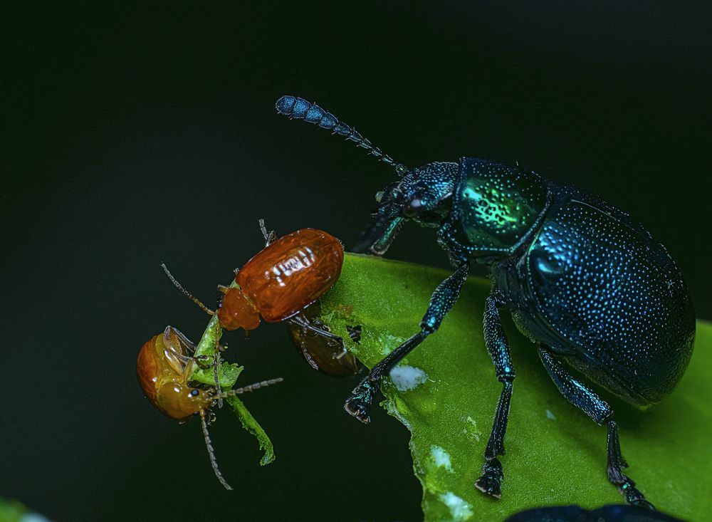 Photograph by Asamanj Maiti