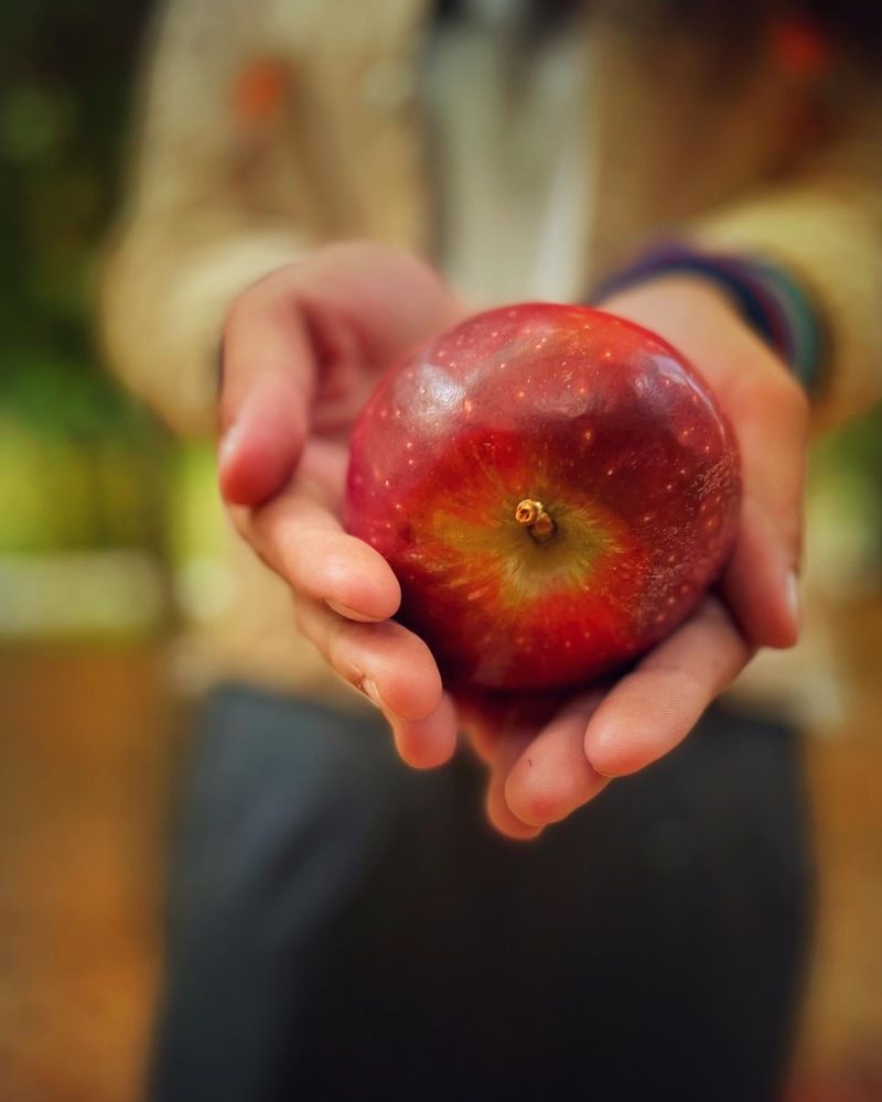 Photograph by MADiNA