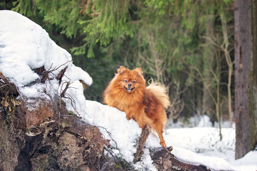 Photograph by Наталья Велиева
