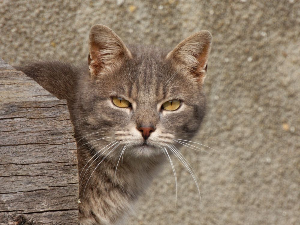 Photograph by Marie-Helene KUHN