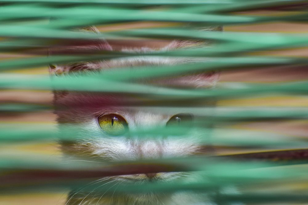 Photograph by Adriana Claudia Gallardo