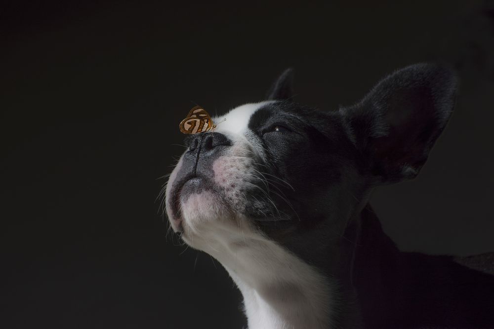 Photograph by Adriana Claudia Gallardo