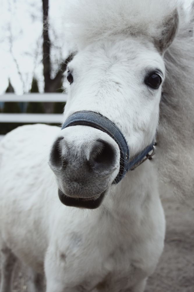 Photograph by Нелли Золотая