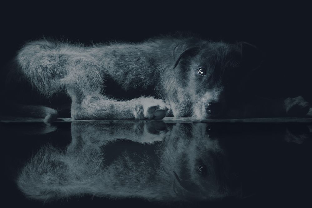 Photograph by Adriana Claudia Gallardo