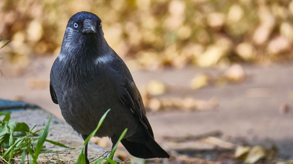 Photograph by Руслан Ибрагимов