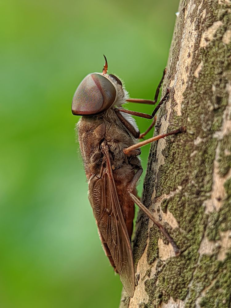 Фотография автора ISLAM SK RIYAJUL