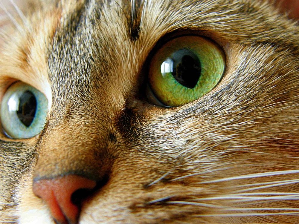 Photograph by Константин Мишнаевский