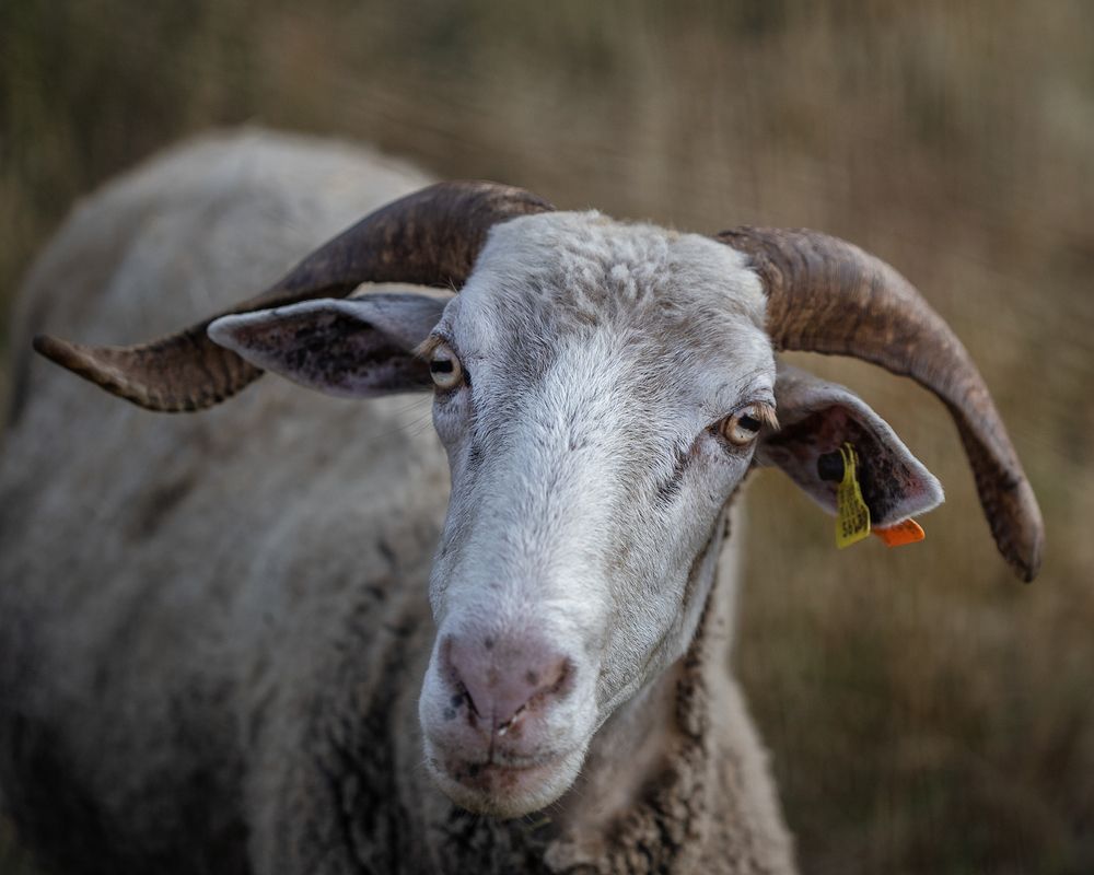 Photograph by Maria Virgínia Martins