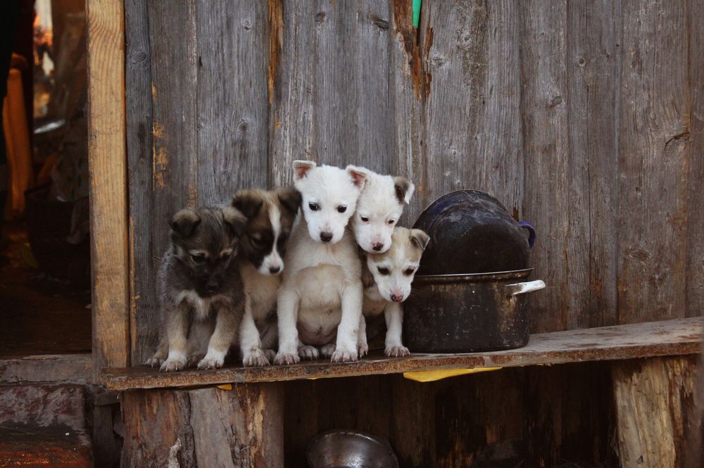 Photograph by Frank Morgan