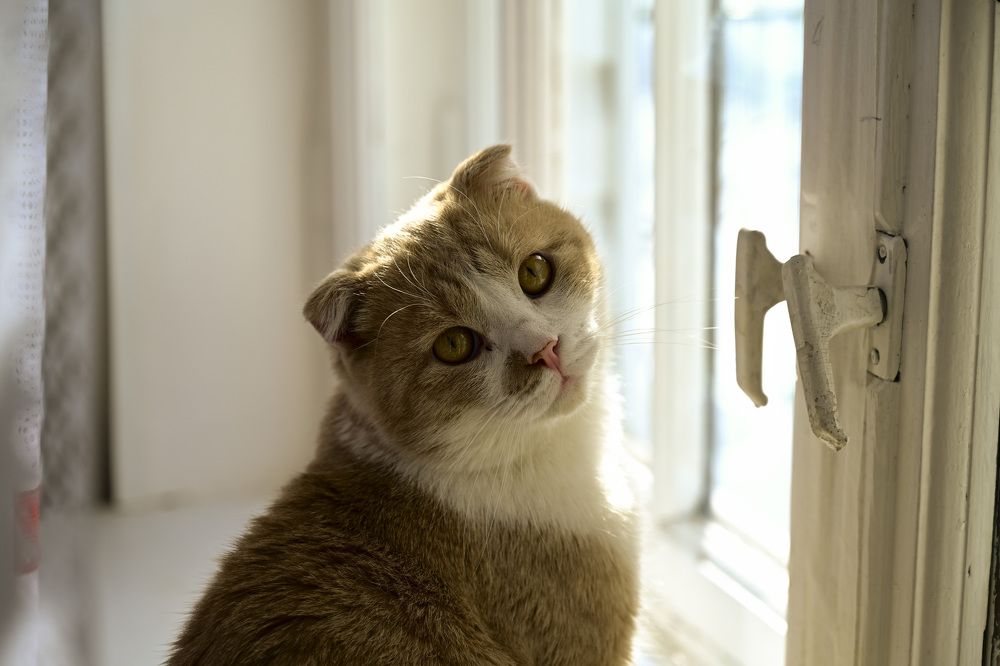 Photograph by Сергей Королев