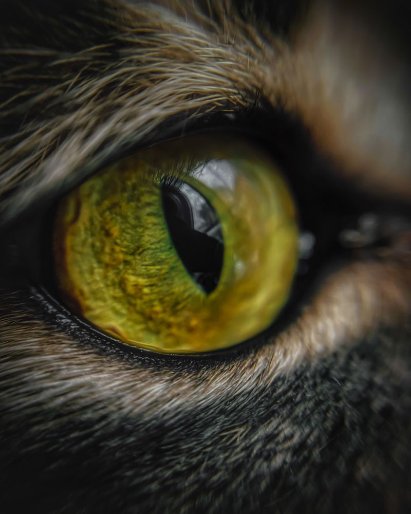 Photograph by Марина Тверитнева