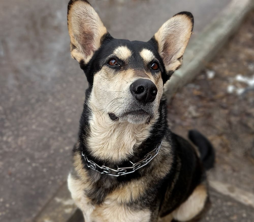 Photograph by Ирина Архипова