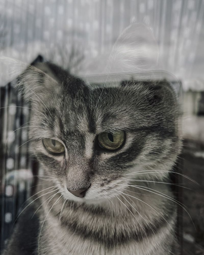 Photograph by Марина Тверитнева