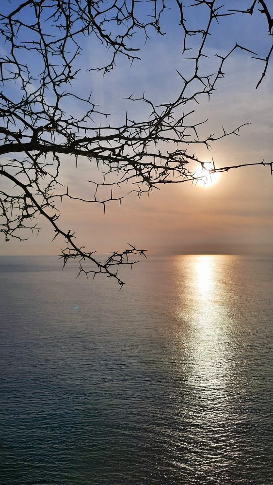Photograph by Elvira Ner