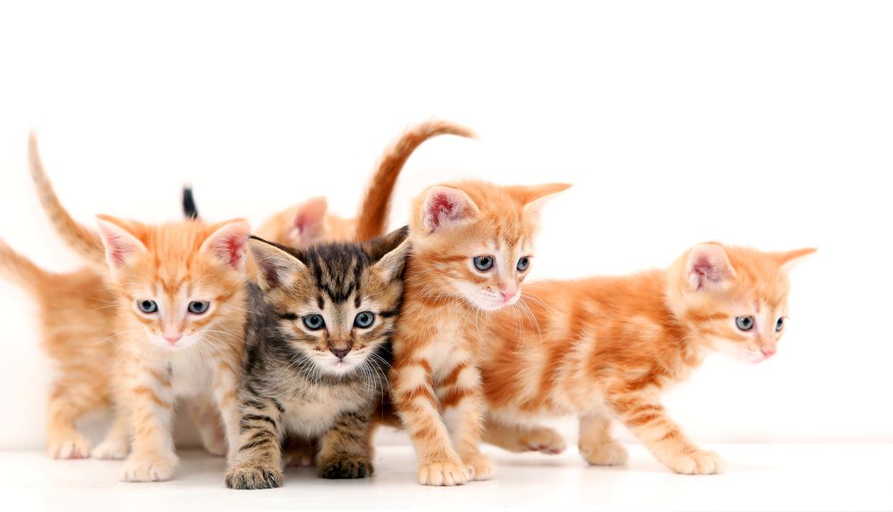 Photograph by Марина Александрова