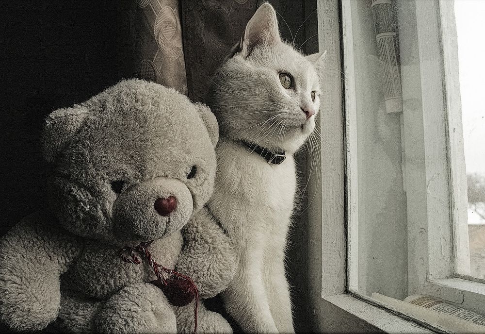 Photograph by Ирина Архипова