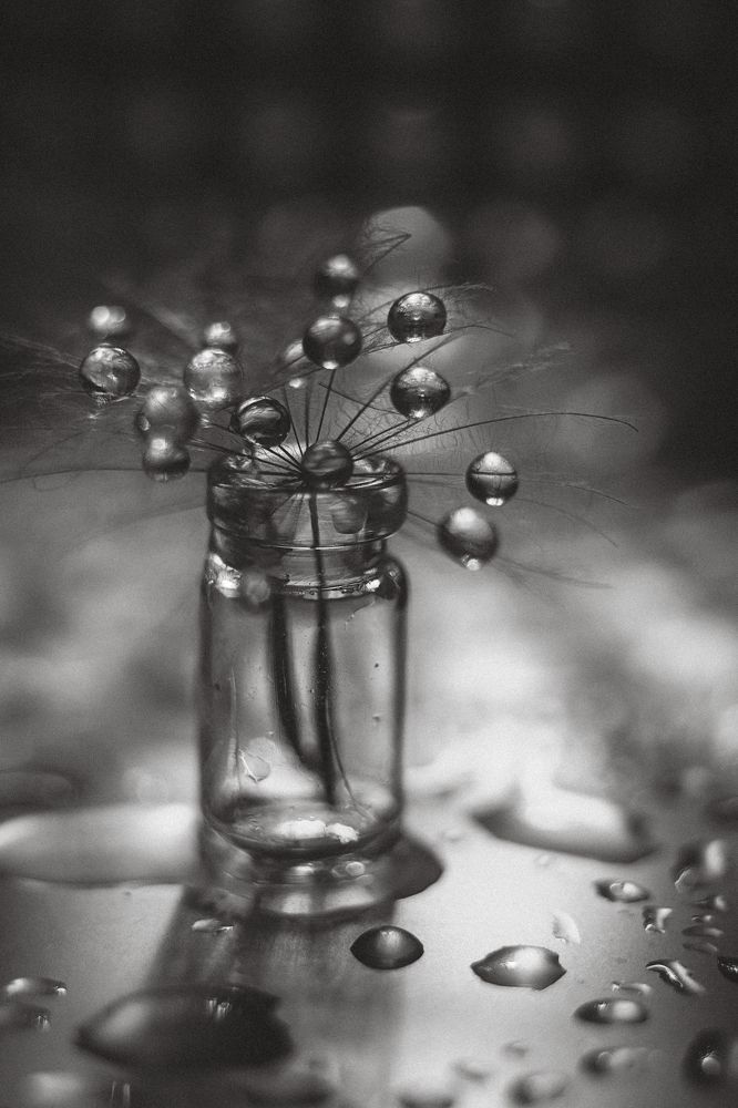 Фотография автора Анжелика