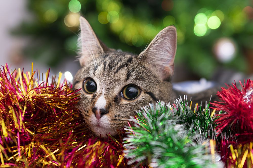 Photograph by Сергей Королев