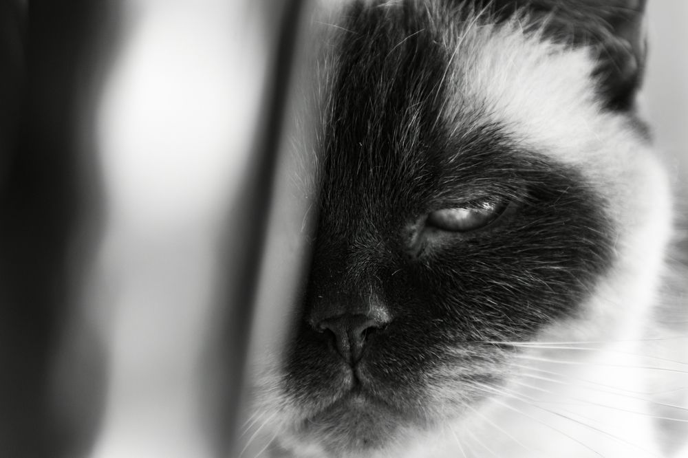 Photograph by Сергей Королев