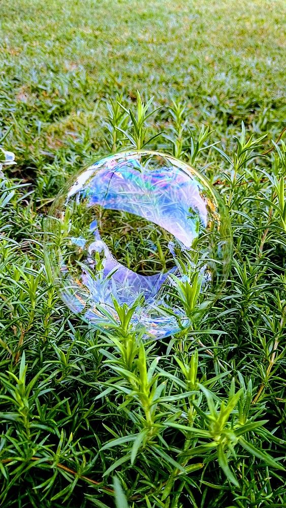 Фотография автора Svetlana Tsvetanova