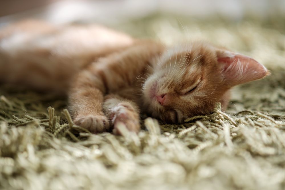 Photograph by Юрий Хорошев