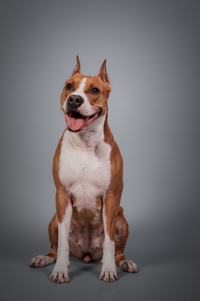 Фотография автора Марат Мурсалимов