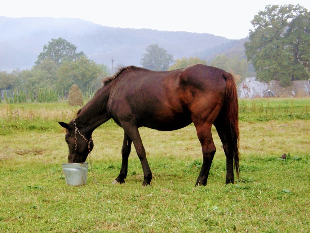 Photograph by Сергей Зиньковский