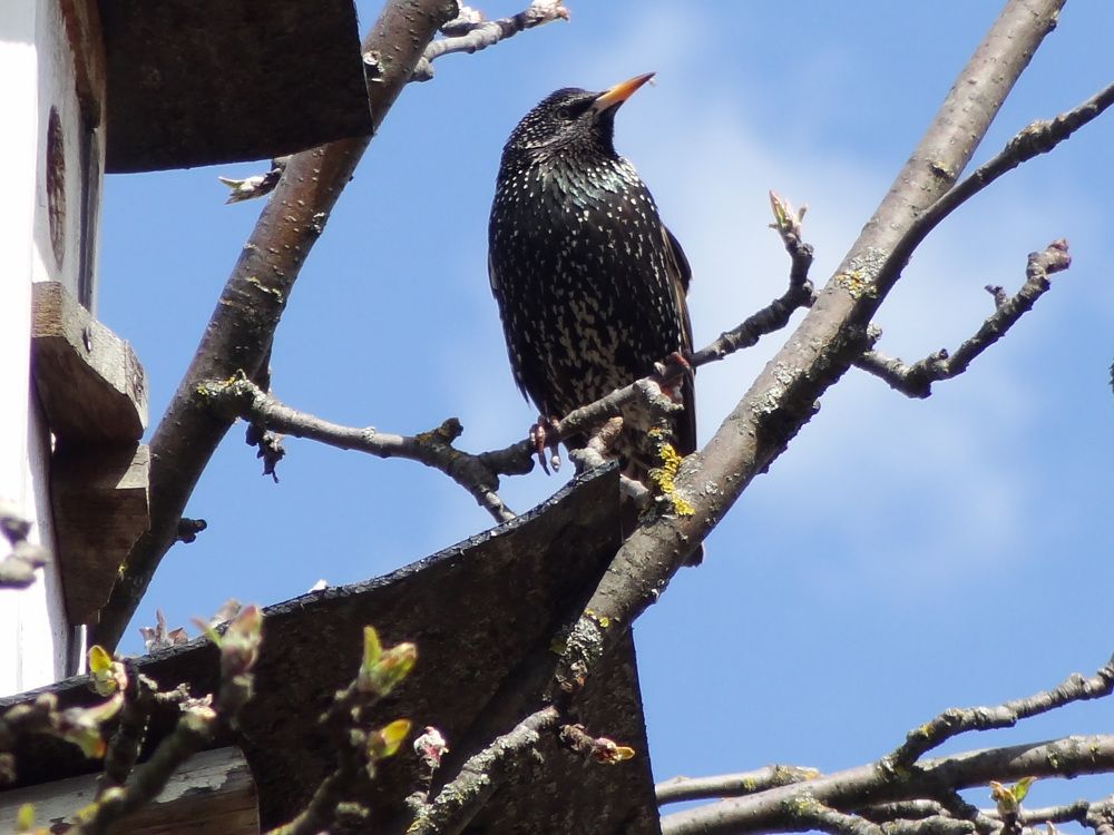 Photograph by Стефанова Татьяна